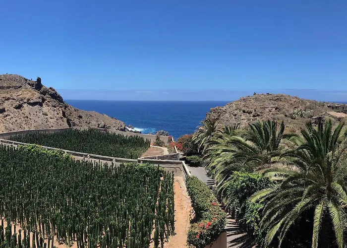 La Punta * Icod De Los Vinos