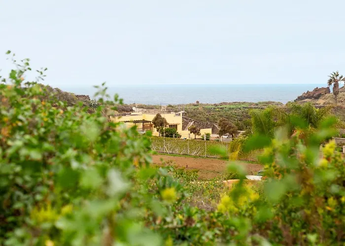 Apartament La Punta Icod De Los Vinos