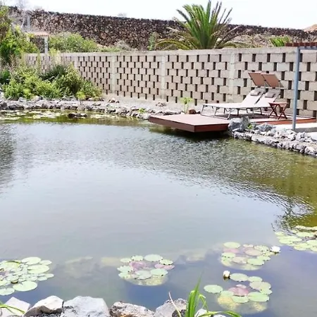 公寓 La Punta 伊科德·德·洛斯·维诺斯