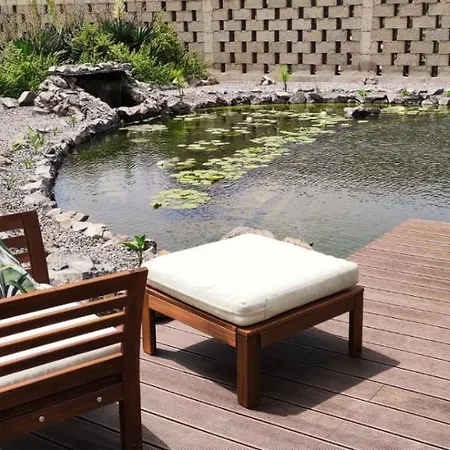 La Punta 伊科德·德·洛斯·维诺斯