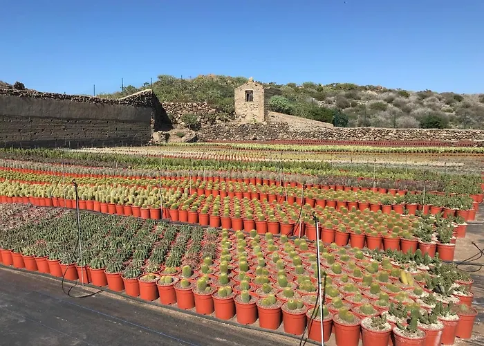 La Punta Apartmán *