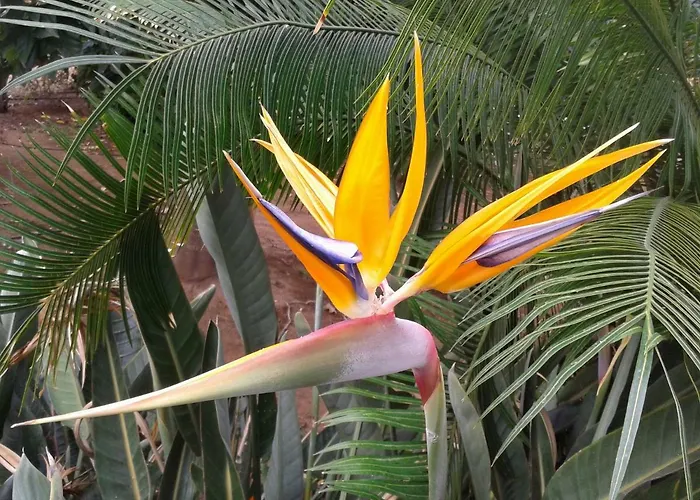 La Punta Apartmán *