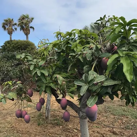 La Punta Appartement *