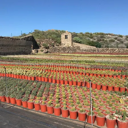 La Punta Appartement *